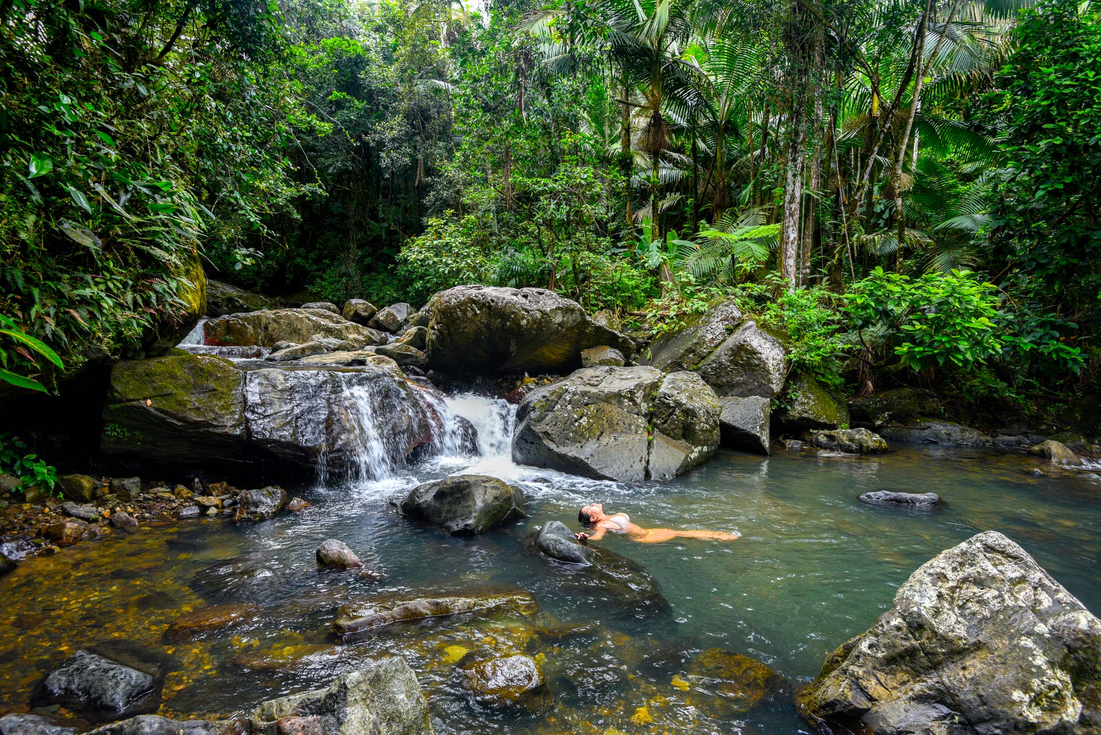 El Yunque Rainforest Puerto Rico Swimming
