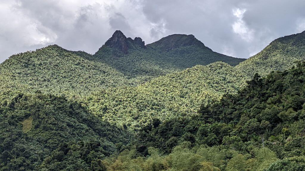 El Yunque Rainforest Puerto Rico Views