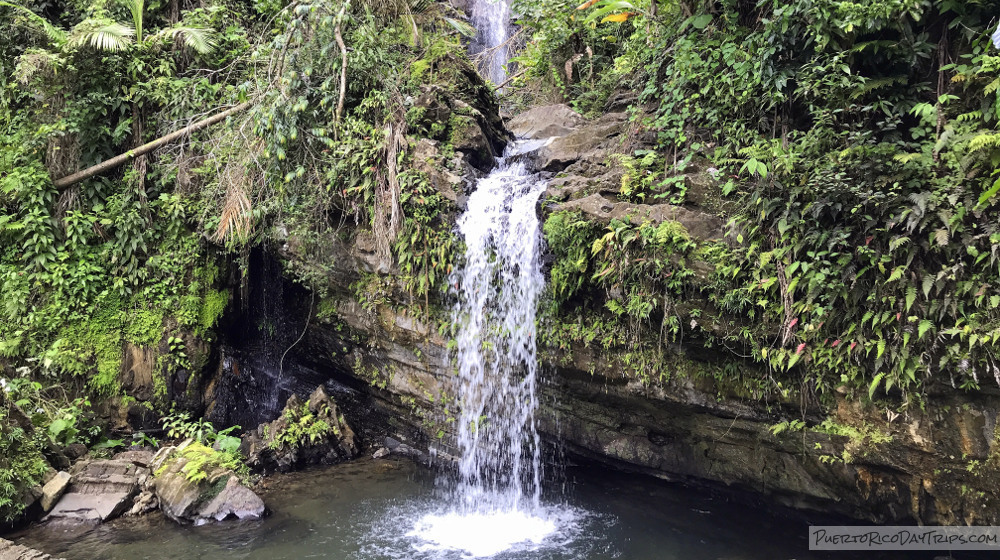 El Yunque Rainforest Puerto Rico Waterfall