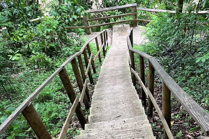 Gozalandia Falls Puerto Rico Steps