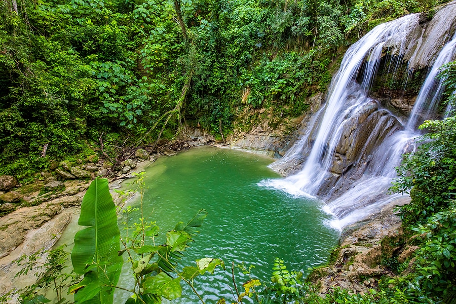 Gozalandia Waterfalls Puerto Rico Steps