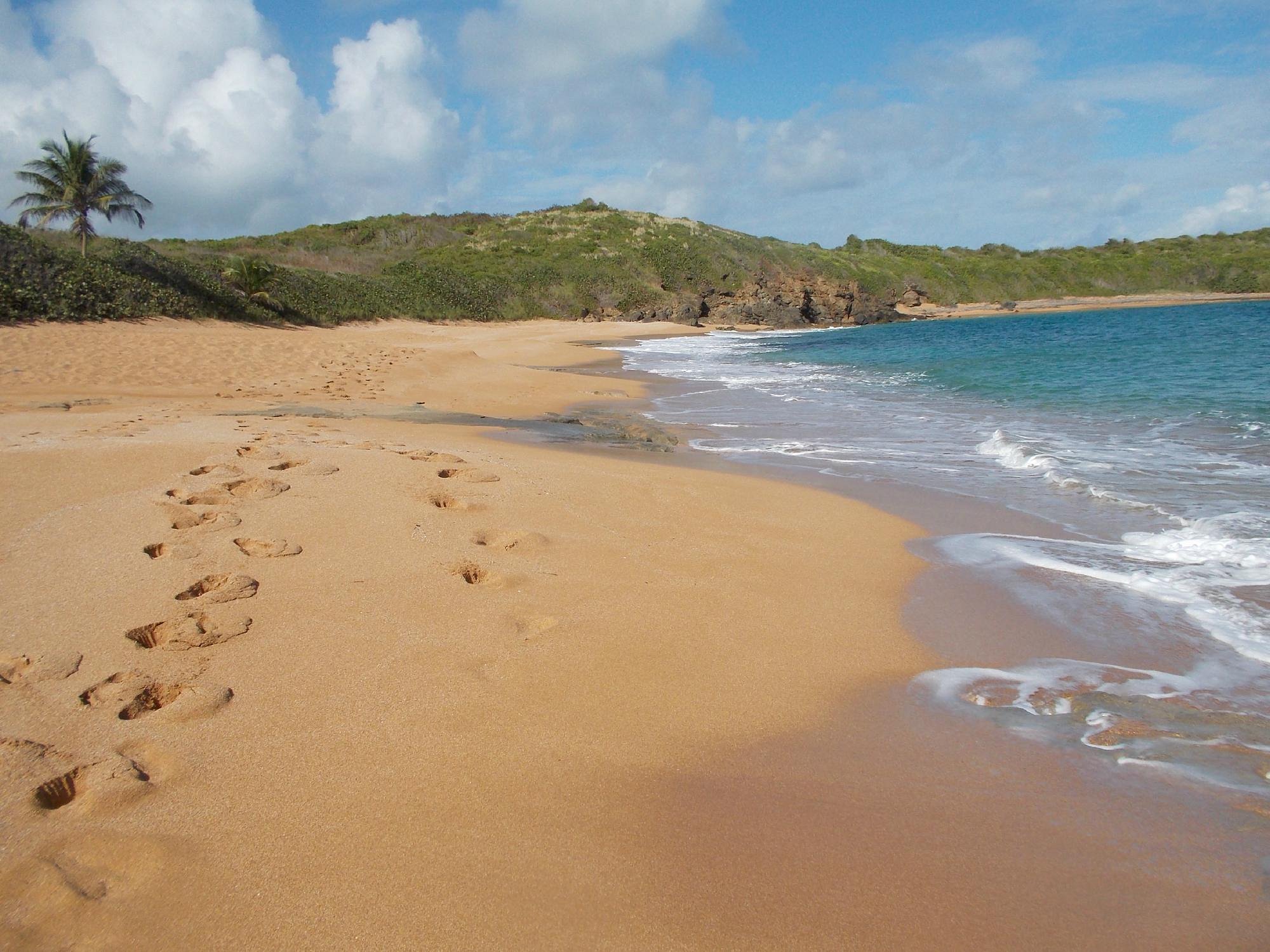 Seven Seas Beach Fajardo Shoreline