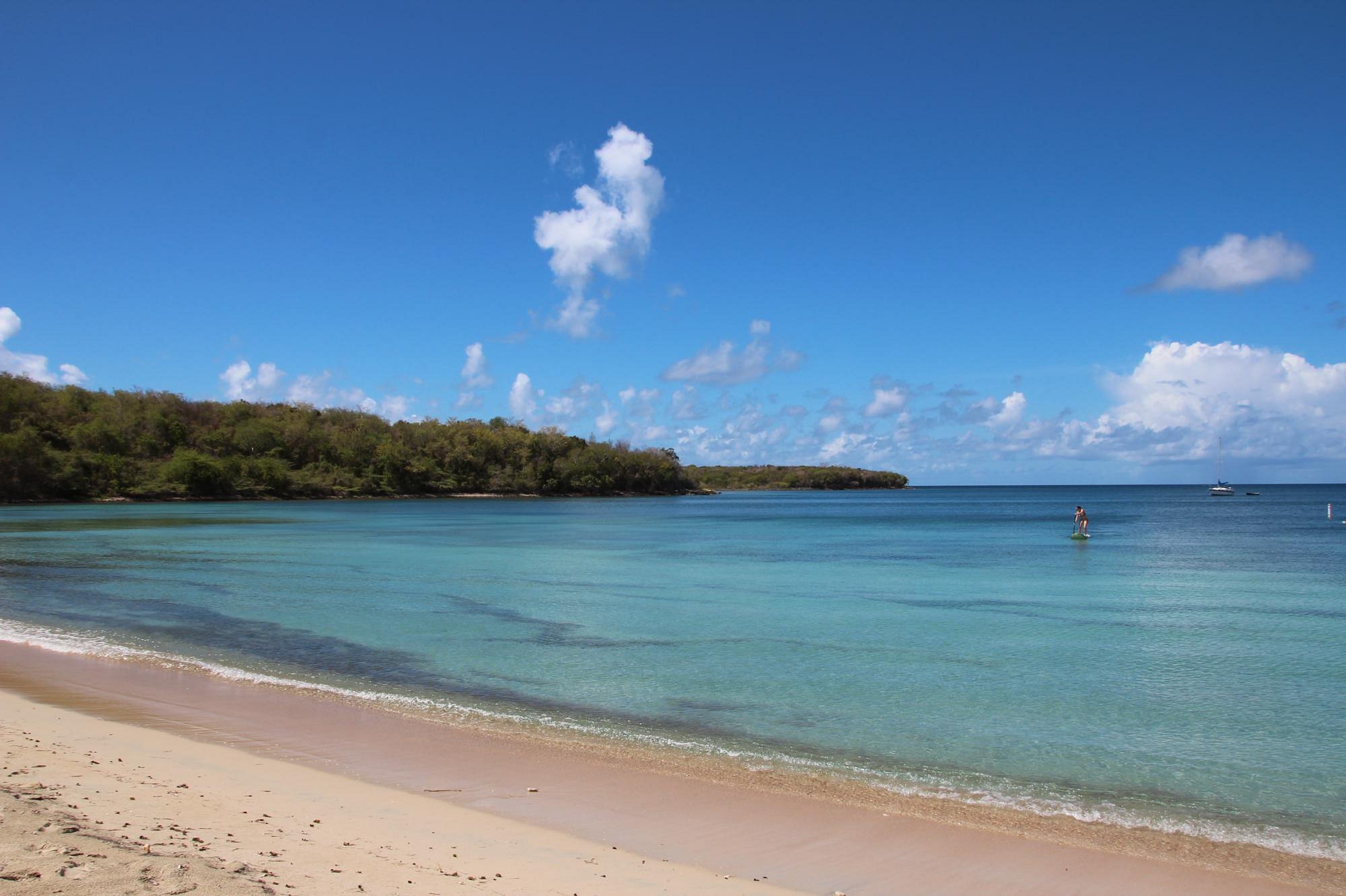 Sun Bay Beach Vieques Island Paddleboarding