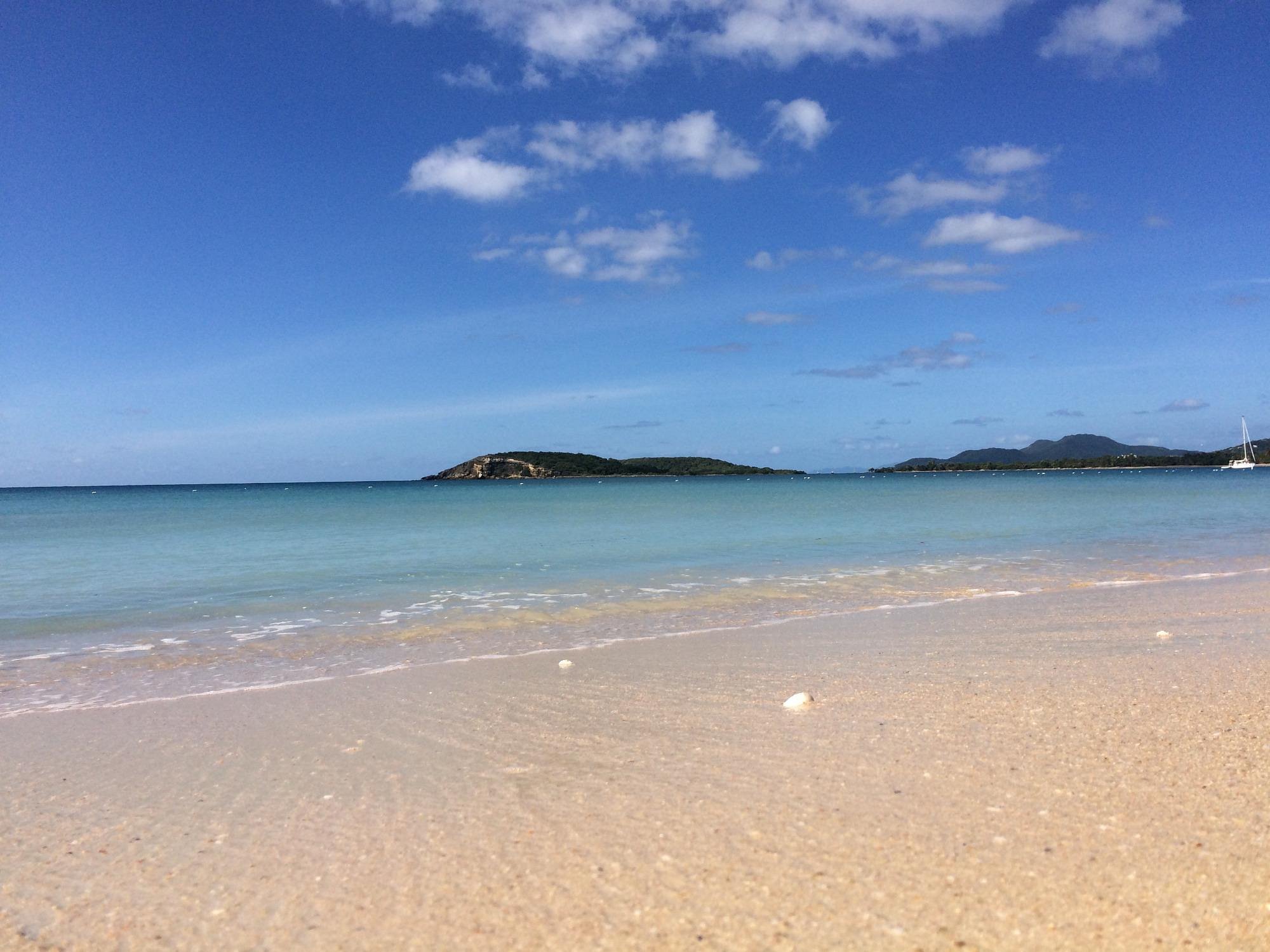Sun Bay Beach Vieques Island Snd Beach Shells