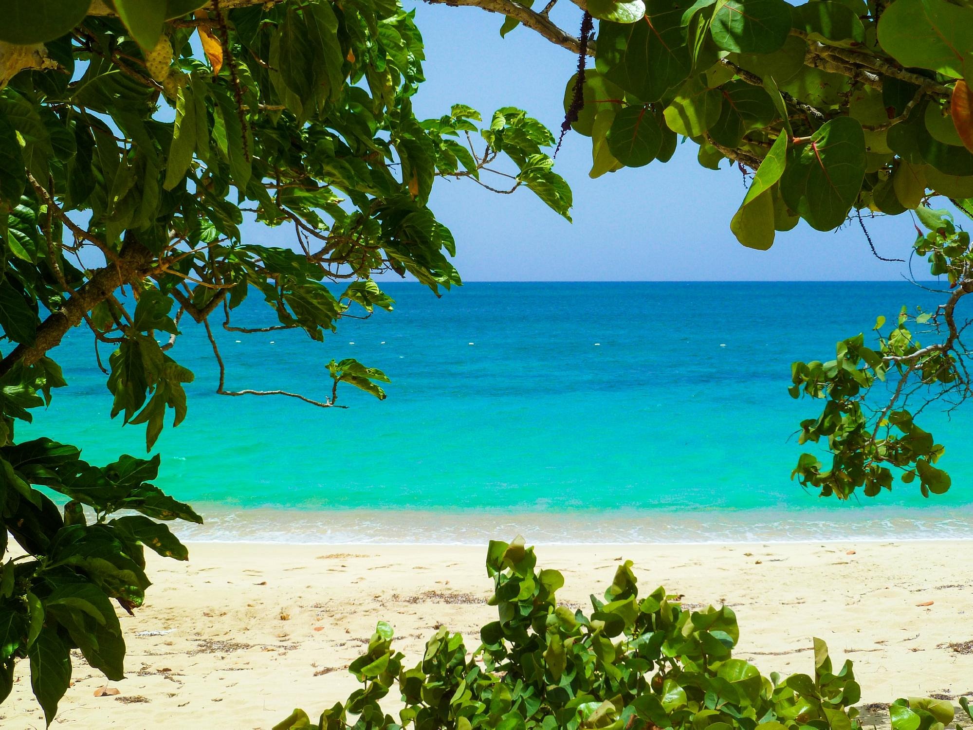 Sun Bay Beach Vieques Island Window